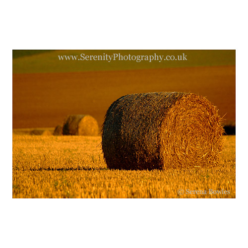 A roll of hay sitting in a field in Kent
